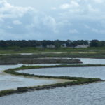 Noirmoutier conciergerie marais